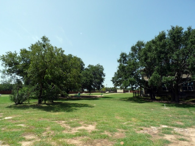 view of grassy yard