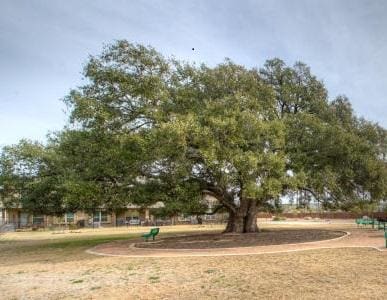 14001 Avery Ranch Blvd Unit 1602, Austin, TX 78717 - photo 20