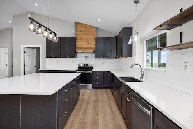 12935 Prairie Cir Unit 3641, Kempner, TX 76539 - kitchen with stainless steel appliances, lofted ceiling, open shelves, light wood-style floors, and light countertops