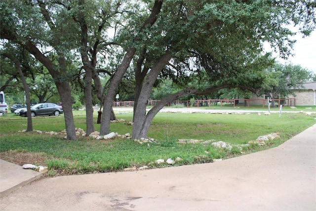 704 Marquis Ln, Cedar Park, TX 78613 - surrounding community with a yard