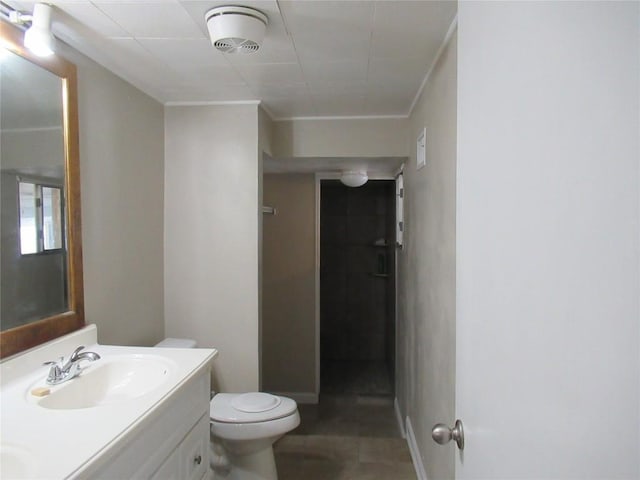163 Cricket St, Tow, TX 78672 - bathroom with toilet, vanity, and ornamental molding