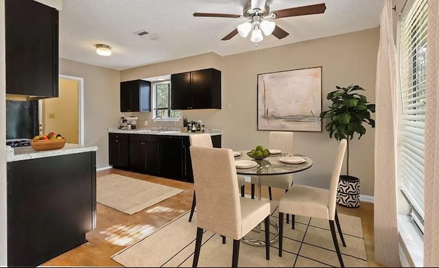 1919 Castle Gate Cir, San Marcos, TX 78666 - kitchen featuring dark cabinetry, a sink, light countertops, a ceiling fan, and baseboards