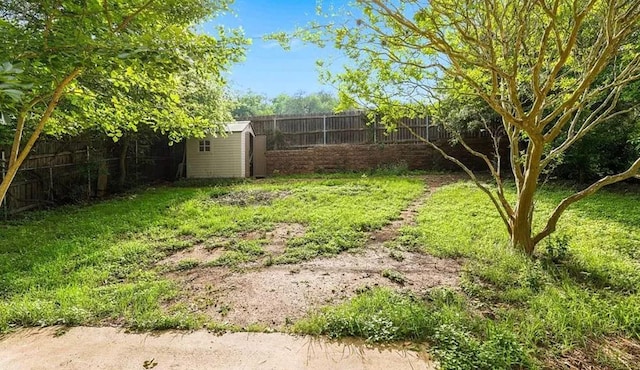 1919 Castle Gate Cir, San Marcos, TX 78666 - view of yard with a storage shed and an outdoor structure