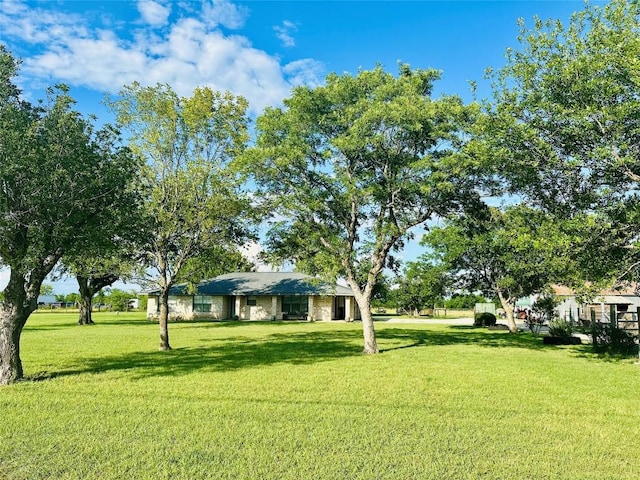 2355 County Road 130, Hutto, TX 78634 - view of green lawn