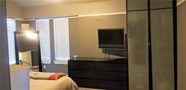 2020 Tripshaw Ln Unit 65C, Austin, TX 78741 - view of bedroom