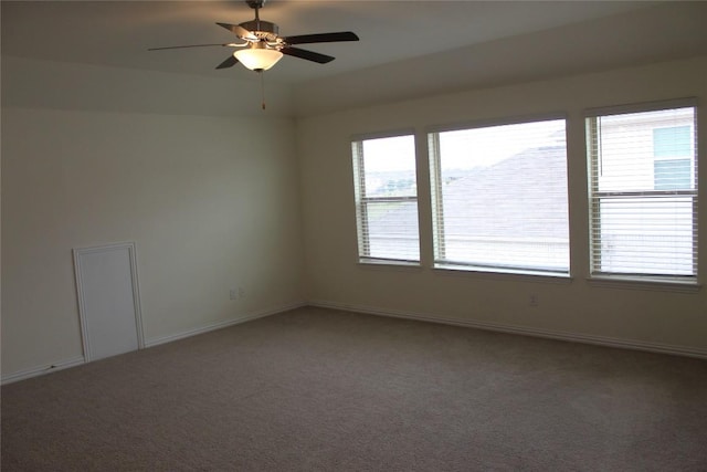 352 Cherrystone Loop, Buda, TX 78610 - photo 25