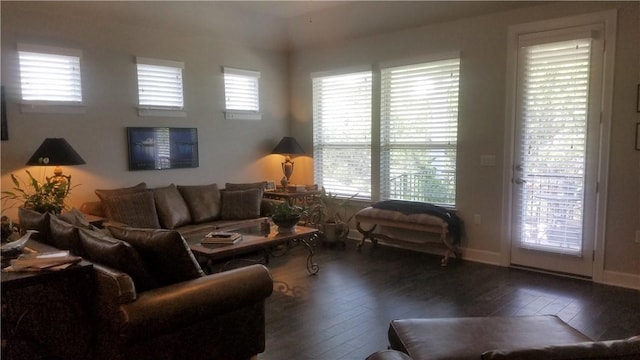 5301 Ponte Tresa Dr, Bee Cave, TX 78738 - living area with wood-type flooring and plenty of natural light
