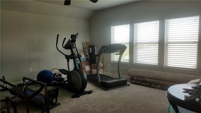 5301 Ponte Tresa Dr, Bee Cave, TX 78738 - exercise area featuring a ceiling fan, carpet floors, and vaulted ceiling