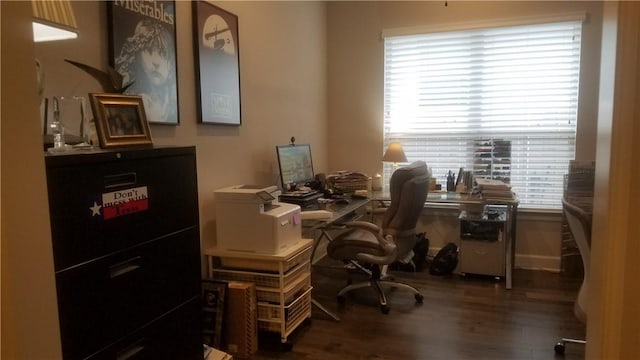 5301 Ponte Tresa Dr, Bee Cave, TX 78738 - home office featuring plenty of natural light and wood finished floors
