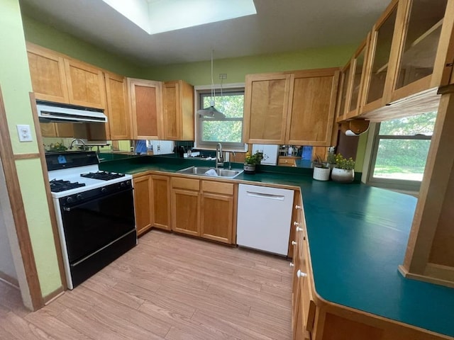 kitchen with gas stove, dishwasher, a sink, under cabinet range hood, and light wood finished floors