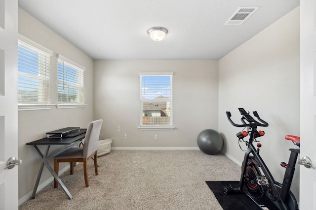1116 View Dr, Georgetown, TX 78628 - workout room featuring carpet and baseboards