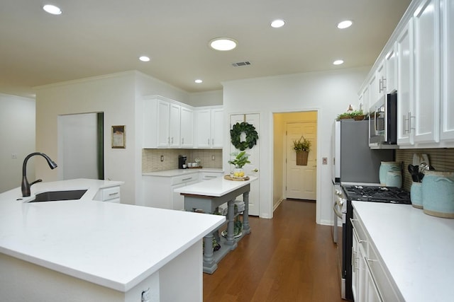 101 Scurry Pass, Georgetown, TX 78633 - kitchen featuring a sink, an island with sink, stainless steel appliances, tasteful backsplash, and dark wood finished floors