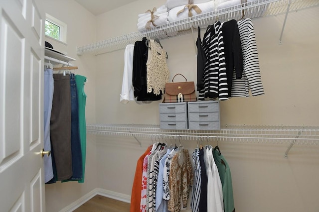 101 Scurry Pass, Georgetown, TX 78633 - view of walk in closet