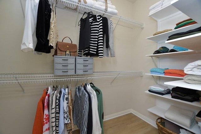 101 Scurry Pass, Georgetown, TX 78633 - walk in closet with wood finished floors
