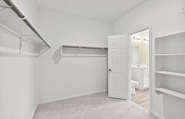 spacious closet with carpet floors