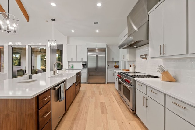 1769 Parten Ranch Pkwy, Austin, TX 78737 - kitchen featuring high end appliances, a sink, modern cabinets, light wood-style flooring, and wall chimney range hood