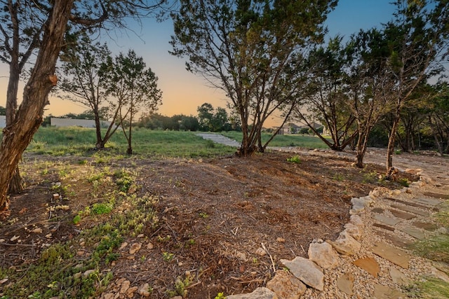 1769 Parten Ranch Pkwy, Austin, TX 78737 - view of yard at dusk