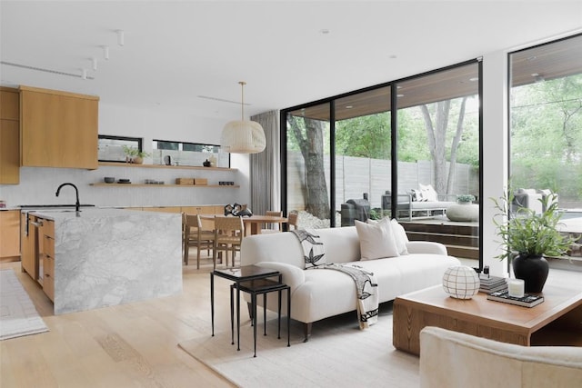 living area with floor to ceiling windows, light wood-style flooring, and healthy amount of natural light