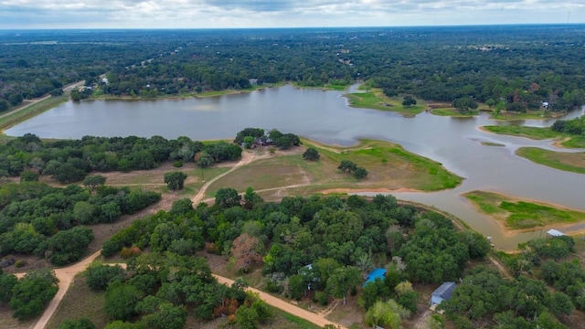 203 Hickory Dr, Sheridan, TX 77475 - aerial view of property's location featuring a heavily wooded area and a large body of water