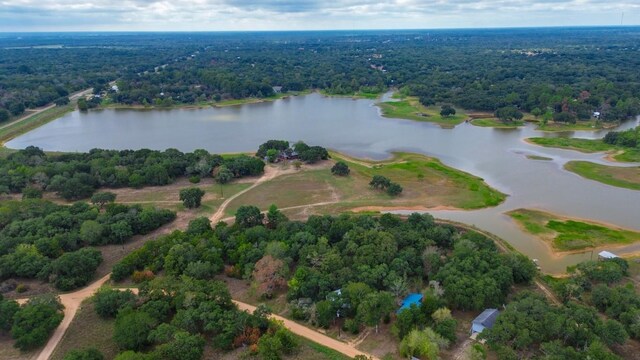 203 Hickory Dr, Sheridan, TX 77475 - drone / aerial view of a heavily wooded area and a large body of water