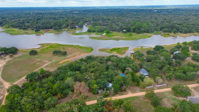 203 Hickory Dr, Sheridan, TX 77475 - bird's eye view of a large body of water and a forest