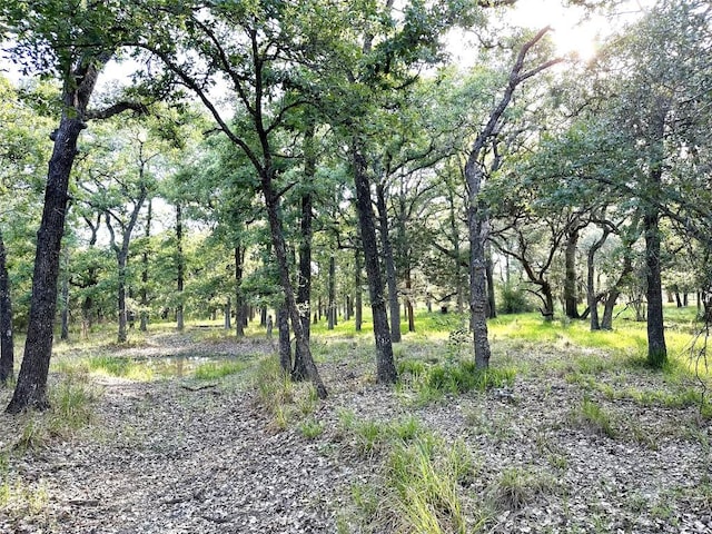 203 Hickory Dr, Sheridan, TX 77475 - view of tree filled area