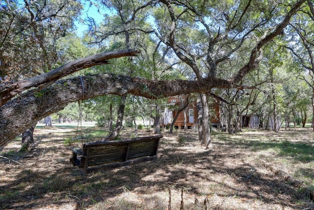 203 Hickory Dr, Sheridan, TX 77475 - view of yard