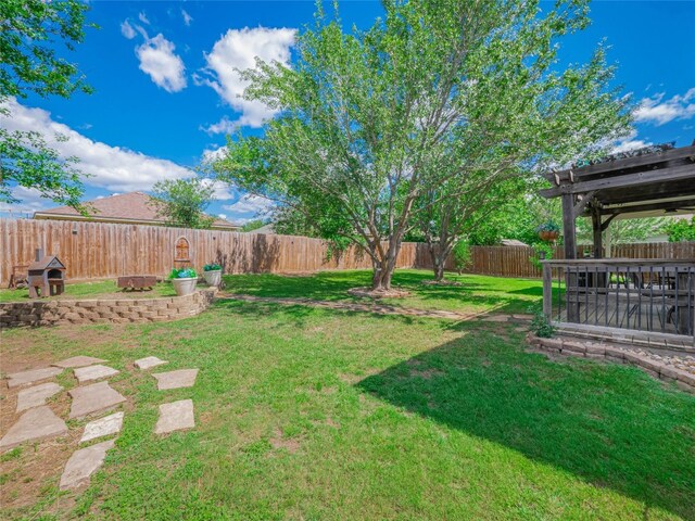 107 Wisteria Way, San Marcos, TX 78666 - view of yard