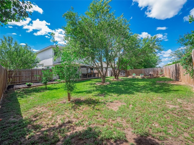 107 Wisteria Way, San Marcos, TX 78666 - view of yard