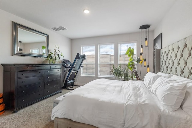 5333 Corelli Fls, Round Rock, TX 78665 - view of carpeted bedroom