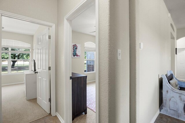 3585 W Amity Rd, Salado, TX 76571 - corridor featuring healthy amount of natural light and baseboards