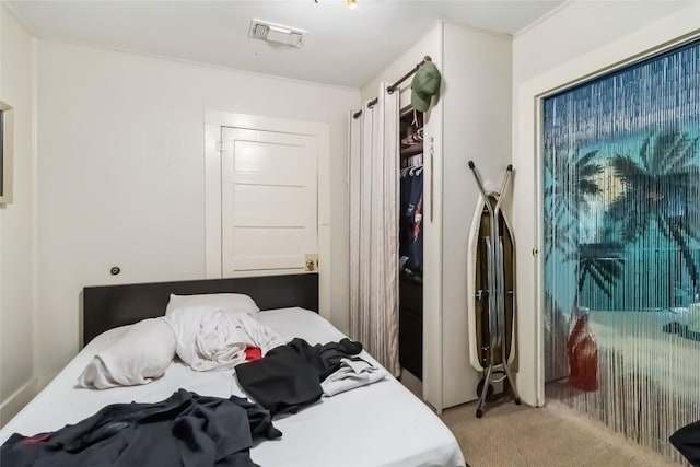 300 Bishop St, Smithville, TX 78957 - bedroom featuring carpet and a closet