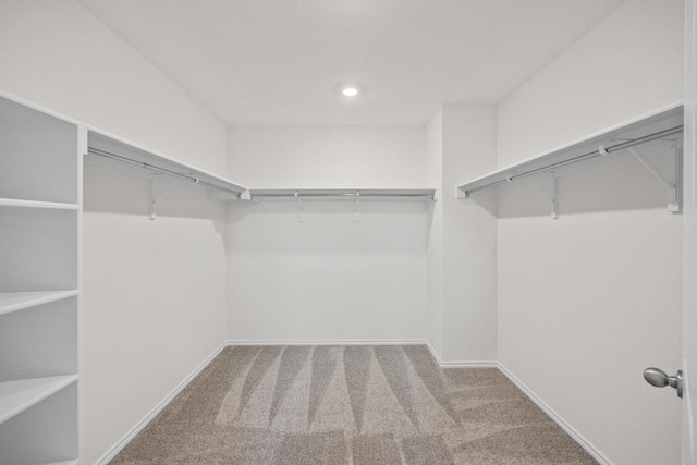 3740 Liberi Ln, Round Rock, TX 78655 - walk in closet with carpet floors