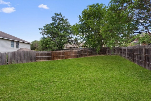1816 Melissa Oaks Ln, Austin, TX 78744 - view of yard