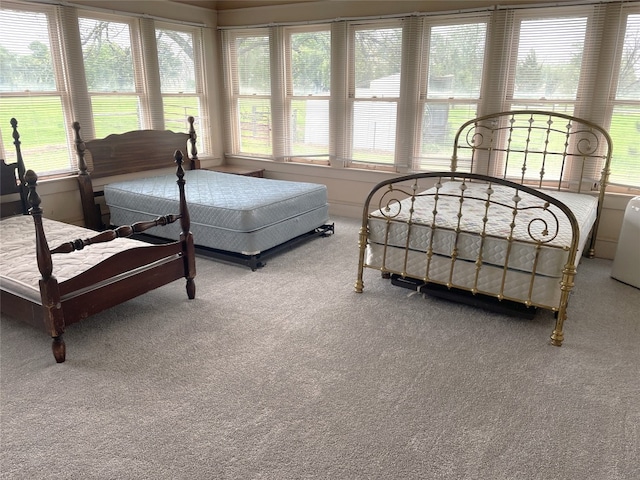 205 Sixth St, Mexia, TX 76686 - view of carpeted bedroom
