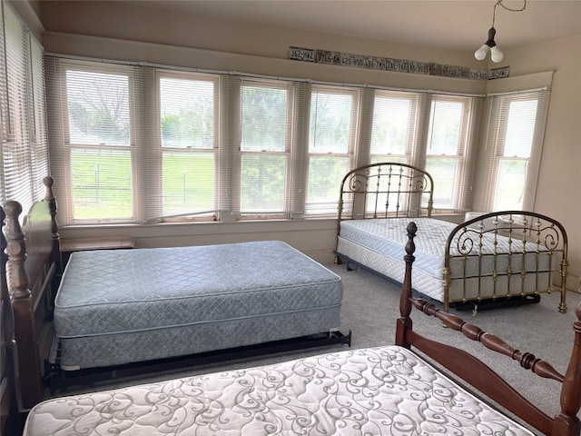 205 Sixth St, Mexia, TX 76686 - bedroom featuring multiple windows and carpet floors