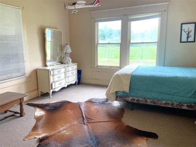 205 Sixth St, Mexia, TX 76686 - view of carpeted bedroom