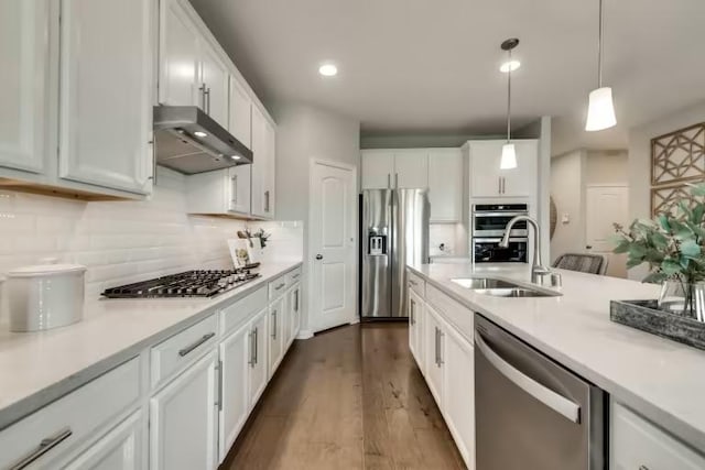 16804 Santiaguillo Trce, Manor, TX 78653 - kitchen with appliances with stainless steel finishes, a sink, exhaust hood, dark wood-type flooring, and white cabinetry