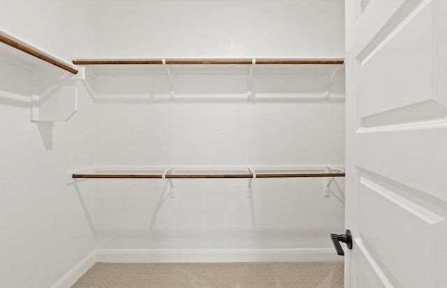 16804 Santiaguillo Trce, Manor, TX 78653 - spacious closet with carpet floors