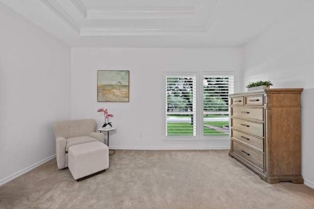 906 Texas Trl, Austin, TX 78737 - living area featuring a raised ceiling, light carpet, ornamental molding, and baseboards