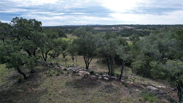 116 Legacy Hills Dr, Johnson City, TX 78636