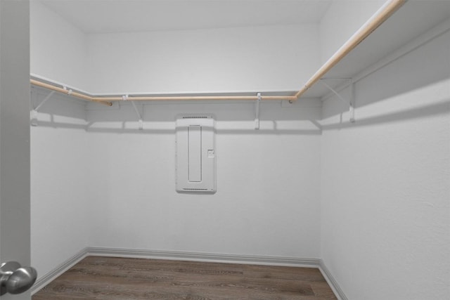 walk in closet featuring wood finished floors and electric panel