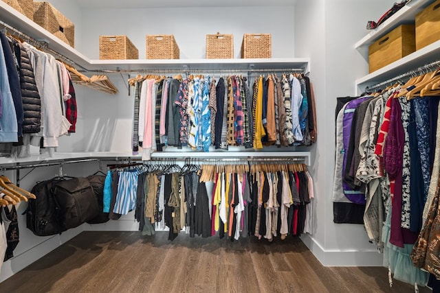 walk in closet featuring wood finished floors