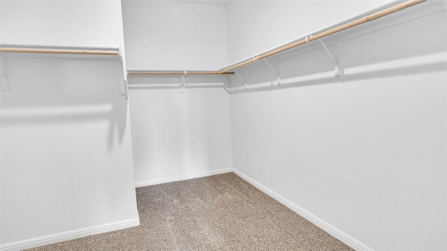 194 Inks Ln, Kyle, TX 78640 - walk in closet with carpet flooring