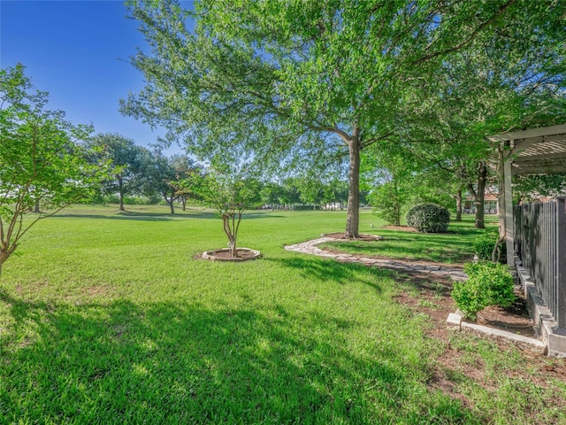 11029 Ballybunion Pl, Austin, TX 78747 - view of yard