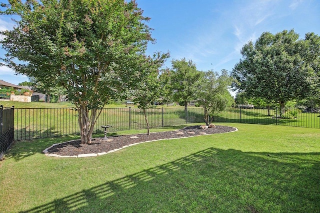 210 Salt Creek Ln, Georgetown, TX 78633 - view of yard