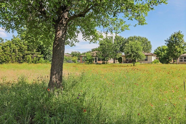 210 Salt Creek Ln, Georgetown, TX 78633 - photo 21