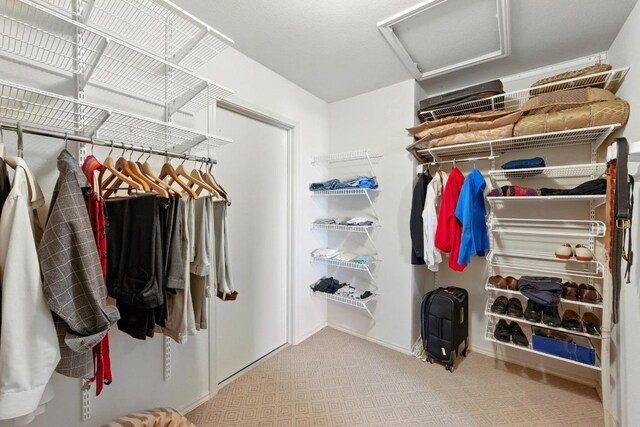 2111 Marcus Abrams Blvd, Austin, TX 78748 - walk in closet with attic access and carpet flooring