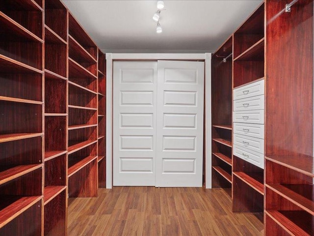 200 Karrie Dr, Kyle, TX 78640 - walk in closet with wood finished floors
