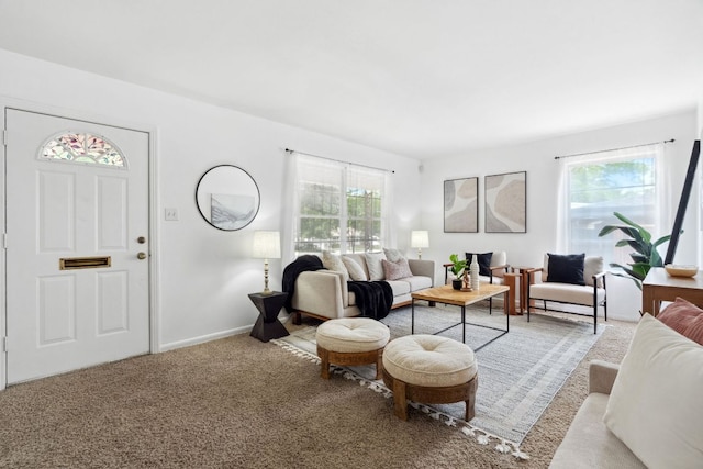 1409 Briarcliff Blvd, Austin, TX 78723 - living area featuring carpet floors and baseboards
